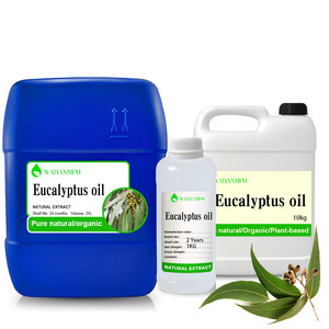 Großhandel Reines Natürliches Frisches Hochwertiges Eukalyptus Globulus Ätherisches Öl Farblos 2 Jahre Haltbarkeit für Alle Hauttypen - Product Image 1