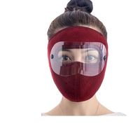 Cache-oreilles et cache-visage d'hiver pour moto, protection contre le froid et les yeux éblouis