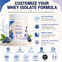 Isolat de protéines de lactosérum en poudre saveur myrtille 500g – Pot – OEM – Marque privée – Vente en gros – Fournisseur d'usine – Emballage