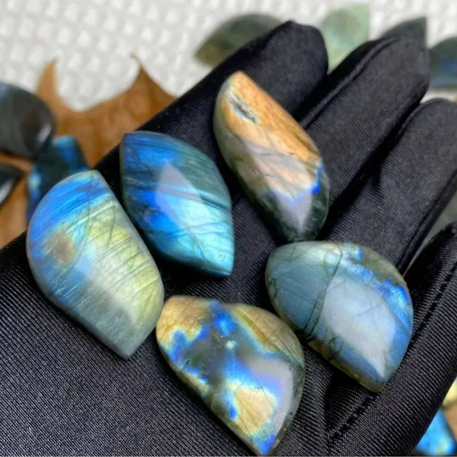 En forme de labrador (non poreux)