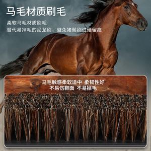 Cepillo limpiador Histofree de pelo de cerdo negro para limpiar zapatos de uso doméstico y deportivo - Product Image 5