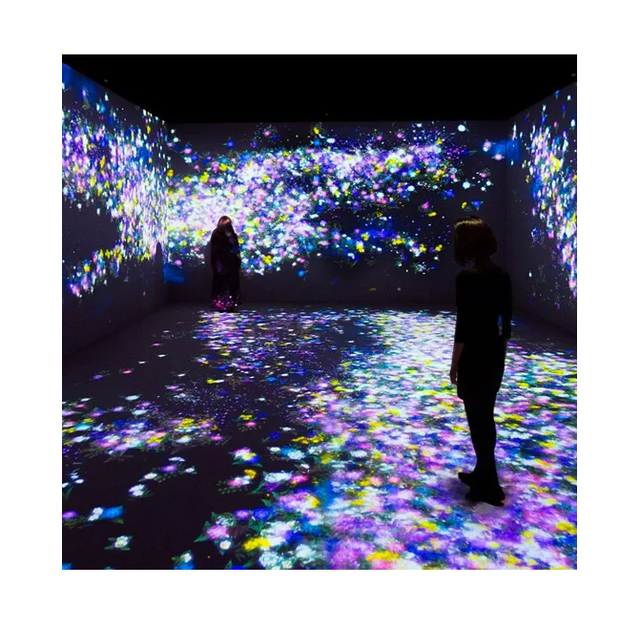 Customizable 3D Hologram Projector Immersive Interactive Projection Mapping for Restaurant Wall Decor