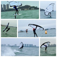Haute qualité 5 mètres carrés gonflable Hydrofoil Wingfoil Surf Wing Stable large forme en Polyester avec accessoire de sac à pompe