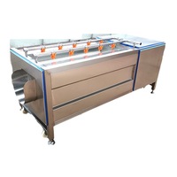 Commerciële multifunctionele groente- en fruitwas- en schilapparaat met rolborstel