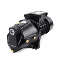 Pompe à jet auto-amorçante monophasée en fonte 1 CV à haute pression, nouveau design, pour eau propre et potable - Vente chaude