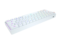 Keyboard Gaming & Kantor Mekanik 61 Tombol OEM Custom ABS Shell Tipe C Warna Kustom DK61