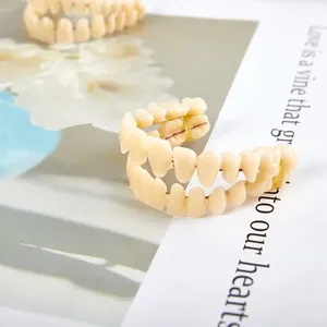 Juego de 28 Dientes de Resina Universales, Modelo de Dientes Postizos Duraderos, Material Dental para Enseñanza - Product Image 2