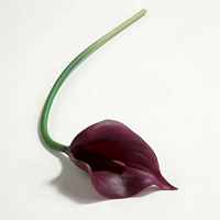 Fleur artificielle de lys calla en PU, toucher réel, pour décoration de chaussures, fleur de chaussure DIY, ornement de vêtement