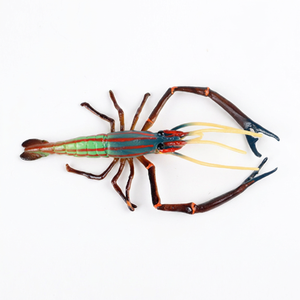 โมเดลพลาสติก PVC รูปกุ้งกุ้งแมนทิสรูปสัตว์ทะเลจำลองของเล่นเพื่อการเรียนรู้ในช่วงต้นของเด็ก - Product Image 2