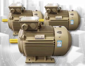 Motor Eléctrico de CA con Reducción de Engranajes GUOMAO/Wolong de 220kw - Product Image 5