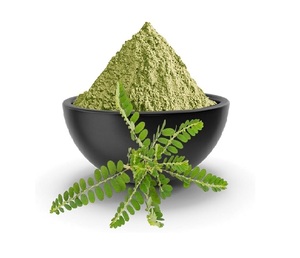 Extracto de Bhoomi Amalaki en Polvo de Alta Calidad, Puro y Natural, Extracto Herbal de Phyllanthus Niruri, Confiable para Uso Industrial y Comercial - Product Image 1