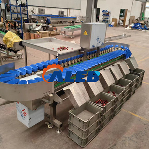 Trieuse industrielle de poids d'huîtres de fruits de <span class=keywords><strong>mer</strong></span> de poissons classifieuse de concombre de <span class=keywords><strong>mer</strong></span> d'écrevisses de crevettes - Product Image 5