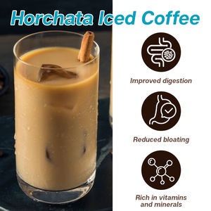 Özel etiket Vegan şeker Gluten katkı ücretsiz vanilya baharat karışımı Horchata lezzet buzlu kahve - Product Image 4