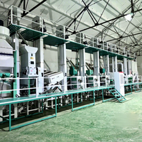 Machine à décortiquer le riz de haute qualité RongLiang 15T-100T et ligne de production complète de transformation du riz, facile à utiliser