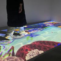 Nuevo y Original Software de Mapeo de Video con Chips IC para 8 Proyectores de Piso, ¿Cuánto Cuesta Beam Interactive? Garantía de 2 Años