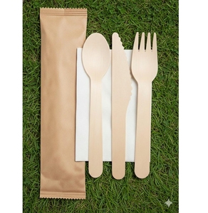 Ensemble de couverts jetables KEGO écologiques et biodégradables 100% en bois de magnolia conifera, 10 pièces (cuillère, fourchette, couteau, serviette en papier) - Product Image 1