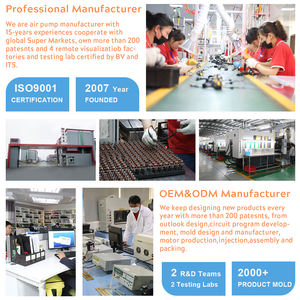 Bomba Eléctrica para Tabla de Paddle Surf con Apagado Automático, Inflado/Desinflado, Conector de Coche 12V DC, Portátil para Tablas de SUP, Kayaks y Tiendas de Campaña Inflables - Product Image 5