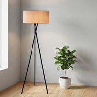Lampe sur pied LED minimaliste nordique pour salon, lampe haute protectrice des yeux, vente en gros usine
