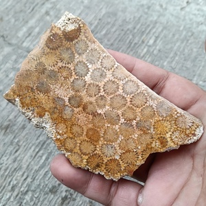 Vente en gros de dalles de jade corail de style bohème, naturelles, pour la guérison spirituelle, tendance mode pour la décoration intérieure, cadeaux de fêtes et d'anniversaire, pierre - Product Image 6