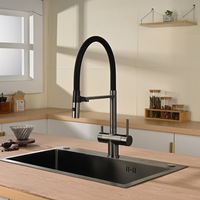 Robinet de cuisine en cuivre magnétique moderne et minimaliste, purificateur d'eau trois-en-un, double poignée chaud/froid extractible