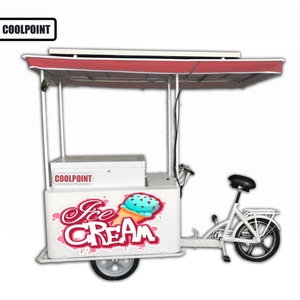 Triciclo Solar para Helados con Panel Solar y Refrigerador, 12V/24V CC, OEM ODM, para Pasajeros y Carga, con Certificación EEC DOT - Product Image 4