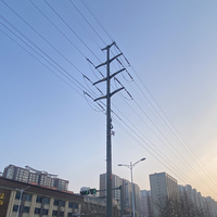 Poteaux électriques en acier de 5 m, conçus sur mesure en usine, pour poteaux de pylon électriques extérieurs à double circuit 1-35 KV