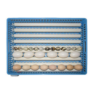 Nouvel incubateur mini double alimentation avec retournement automatique, affichage numérique, taux d'éclosion de 99 % pour poulets, canards, cailles, usage domestique - Product Image 2