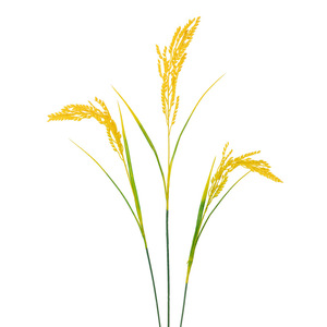 Produit de haute qualité Yaleen, plante artificielle en plastique à 3 tiges de riz, décoration moderne pour la maison, <span class=keywords><strong>fausse</strong></span> plante verte bon marché, articles de décoration persistante - Product Image 5