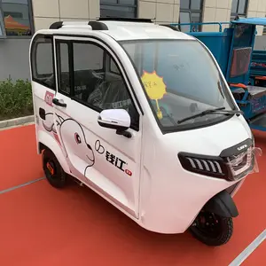 Triciclo eléctrico con cabina, triciclo de entrega urgente eléctrico con caja de carga cerrada con furgoneta cerrada, motocicleta de 3 ruedas