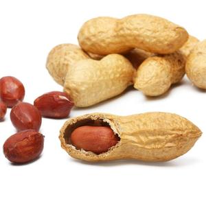 Cacahuetes Congelados IQF Altos en Proteínas, a Base de Plantas, Grado A, Certificación ISO, 24 Meses de Vida Útil, para Elaboración de Dulces y Alimentos - Product Image 2