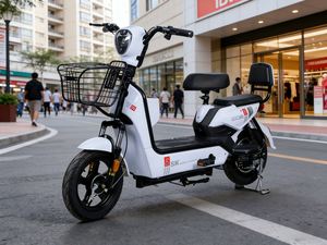 <span class=keywords><strong>Vélo</strong></span> électrique QQML avec pneus larges de 14 pouces, moteur à moyeu arrière, 48V, 6 vitesses, cadre en acier, freins à tambour, batterie au plomb-acide incluse, vitesse maximale de 40 km/h - Product Image 1