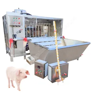 Pig hair removal machine pig hair dehairer pig abattoir and meat processing plant