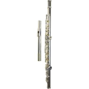 Flûte à bec nickelée sur mesure à 17 trous, clé Do majeur, pour étudiants, débutants, examens et performances professionnelles – Instrument de musique - Product Image 2