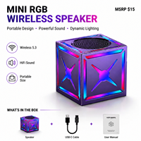 Haut-parleur portable mini extérieur sans fil 5.3 à succès avec subwoofer 5W à volume élevé et qualité sonore Hi-Fi