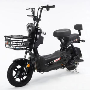 Nouvelle VTT 16 pouces en acier haute teneur en carbone avec batterie au plomb-acide 48V et éclairage - Product Image 2