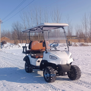 Golf Cart for Kids Enclosed Golf Cart Club Car Golf Cart Engine Side by Side <b>4x4</b> Off Road Buggy - Product Image 4
