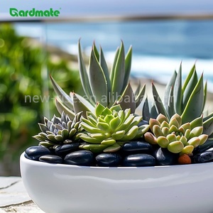 1.8KG Black Modern Waterproof Decorative <strong>River</strong> Stones for Potted Plants Landscaping Patio Garden Vase Pond Fountain - Product Image 4