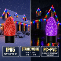 Ampoules LED C9 RGBW changeantes de couleur 24V personnalisées de 12 pouces et 15 pouces, lumières de Noël IP65 pour extérieur, décorations de Noël C9 E17
