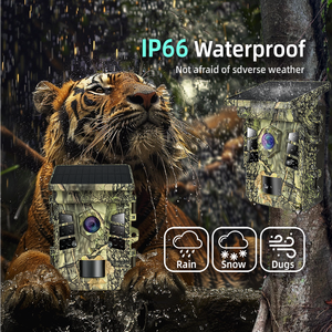 Caméra <span class=keywords><strong>de</strong></span> <span class=keywords><strong>chasse</strong></span> sur sentier avec panneau solaire intégré, vision nocturne 940 nm, détection <span class=keywords><strong>de</strong></span> mouvement PIR <span class=keywords><strong>invisible</strong></span>, contrôle par application, 4K, GPS - Product Image 5