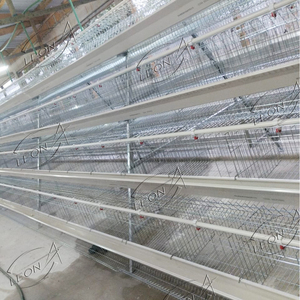 Mejor venta de un marco apilado tipo manual equipo de aves de corral automático 2M capa batería pollos jaulas sistema precio para Kenia - Product Image 6