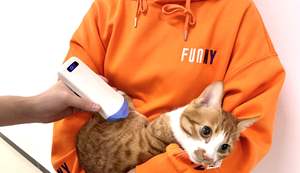 Sonde d'imagerie à ultrasons C10L de diagnostic de l'hôpital konted de pékin, applicable aux bébés et aux petits animaux - Product Image 5