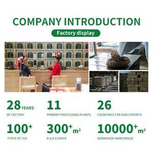 Thé Amincissant Bio Thé Oolong Premium Phoenix Dancong - Product Image 4