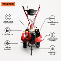 Cultivador Rotatorio a Gasolina y Empujable ykx Personalizado de 7HP 170F para Jardín y Granja - Fabricante