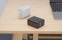Adaptateur de chargeur de prise américaine à deux ports 10W 5V 2A chargeur mural double USB à charge rapide pour iPhone 15 14 13 Pro Max chargeurs universels