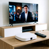Sumavision Sport, Canal en Vivo de Partidos de Fútbol, Quad Core 4K HDR H265 4GB+64GB, Android 14 TV Box, Control Remoto por Voz BT, WiFi