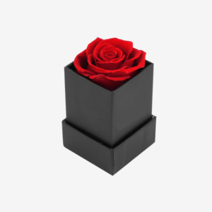 Nouveau cadeau de <span class=keywords><strong>retour</strong></span> de mariage pour toujours belle fleur de rose préservée unique boîte à fleurs <span class=keywords><strong>éternel</strong></span>les de longue durée - Product Image 1