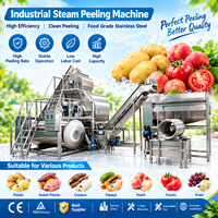 Industriële kwaliteit 304 roestvrijstalen aardappelstoomschilmachine, efficiënt 2000kg/uur fruit- en groenteschilmachine