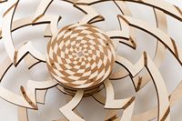 Wood Trick Hypnotic Vortex Illusion d'optique cinétique 3D projet de bricolage modèles en bois poli Puzzles pour l'ingénierie mécanique