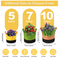 Sacs de culture en tissu non tissé avec poignées, robustes, pour fraises, pommes de terre, tomates, légumes, jardinage