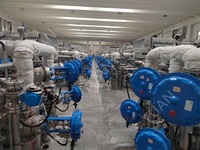 Équipement de production économique d'allulose de machine de production d'allulose personnalisée d'approvisionnement direct d'usine